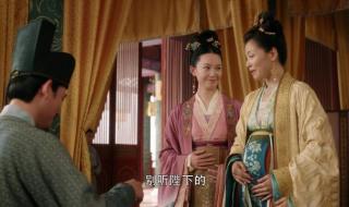 大宋宫词的遗诏最后找到了吗 大宋宫词李婉儿结局