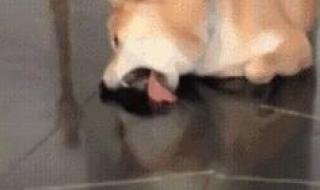 但亲爱的那不是爱情