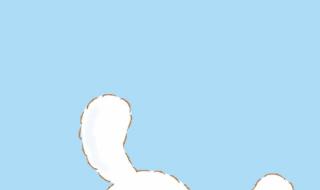 玉桂狗 凯蒂猫是动画片吗 玉桂狗居然是男的