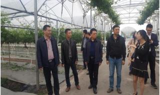 四川自然资源官方网站 四川省国土资源厅