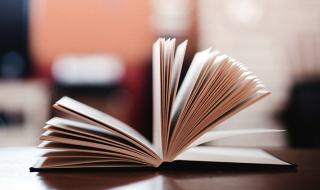 汤小米身世 汤小米王洋个人资料