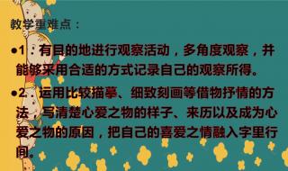 五年级上册习作三 五年级上册习作三
