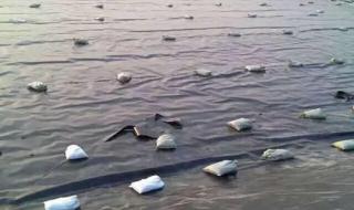 鱼塘防漏膜厚度 鱼塘防渗膜一般多厚