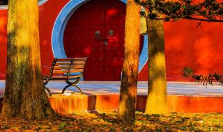 光遇霞谷城堡拱门冥想位置 霞光城上层冥想位置