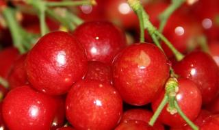 春水映梨花是啥意思