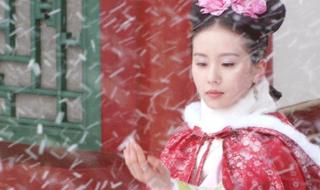 步步惊心十三阿哥结局 步步惊心十三阿哥结局