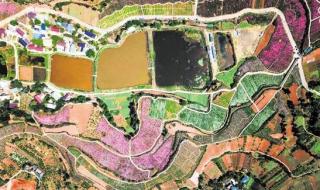 天津市河北区地图 天津市河北区地图