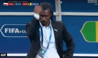 卡塔尔世界杯最好成绩 非洲进世界杯的国家