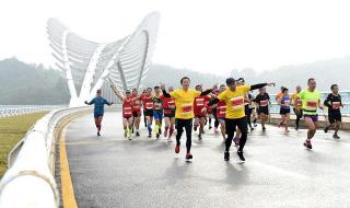 双遗马拉松是金牌赛事吗 马拉松金牌得主是谁