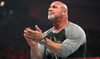 wwe人员名单 wwe大满贯选手名单